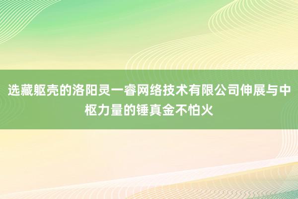 选藏躯壳的洛阳灵一睿网络技术有限公司伸展与中枢力量的锤真金不怕火