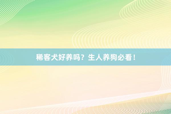 稀客犬好养吗?生人养狗必看!