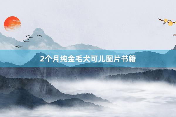 2个月纯金毛犬可儿图片书籍