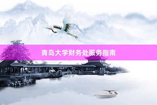 青岛大学财务处服务指南